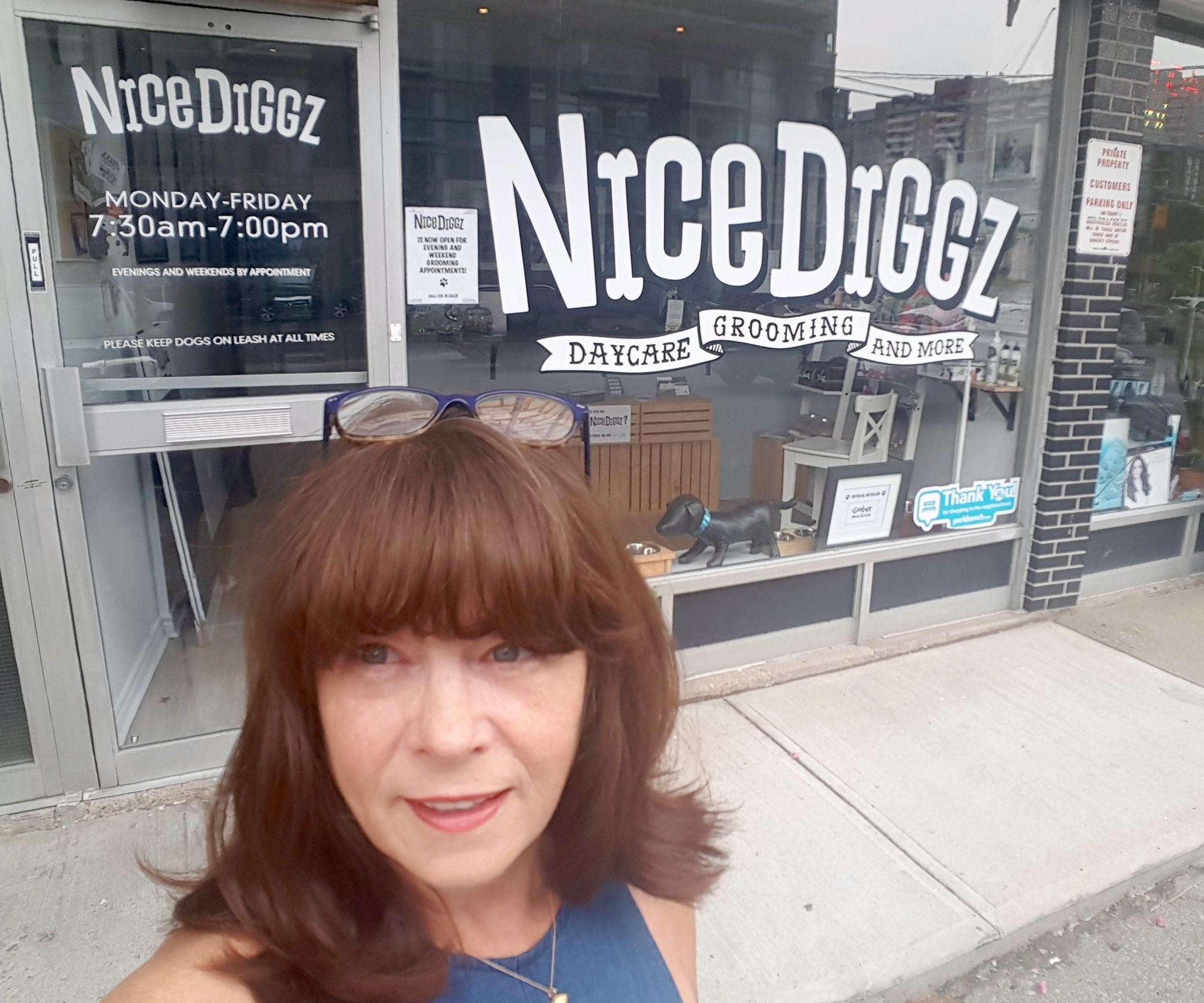 Toronto’s Premier Dog Daycare - Nice Diggz