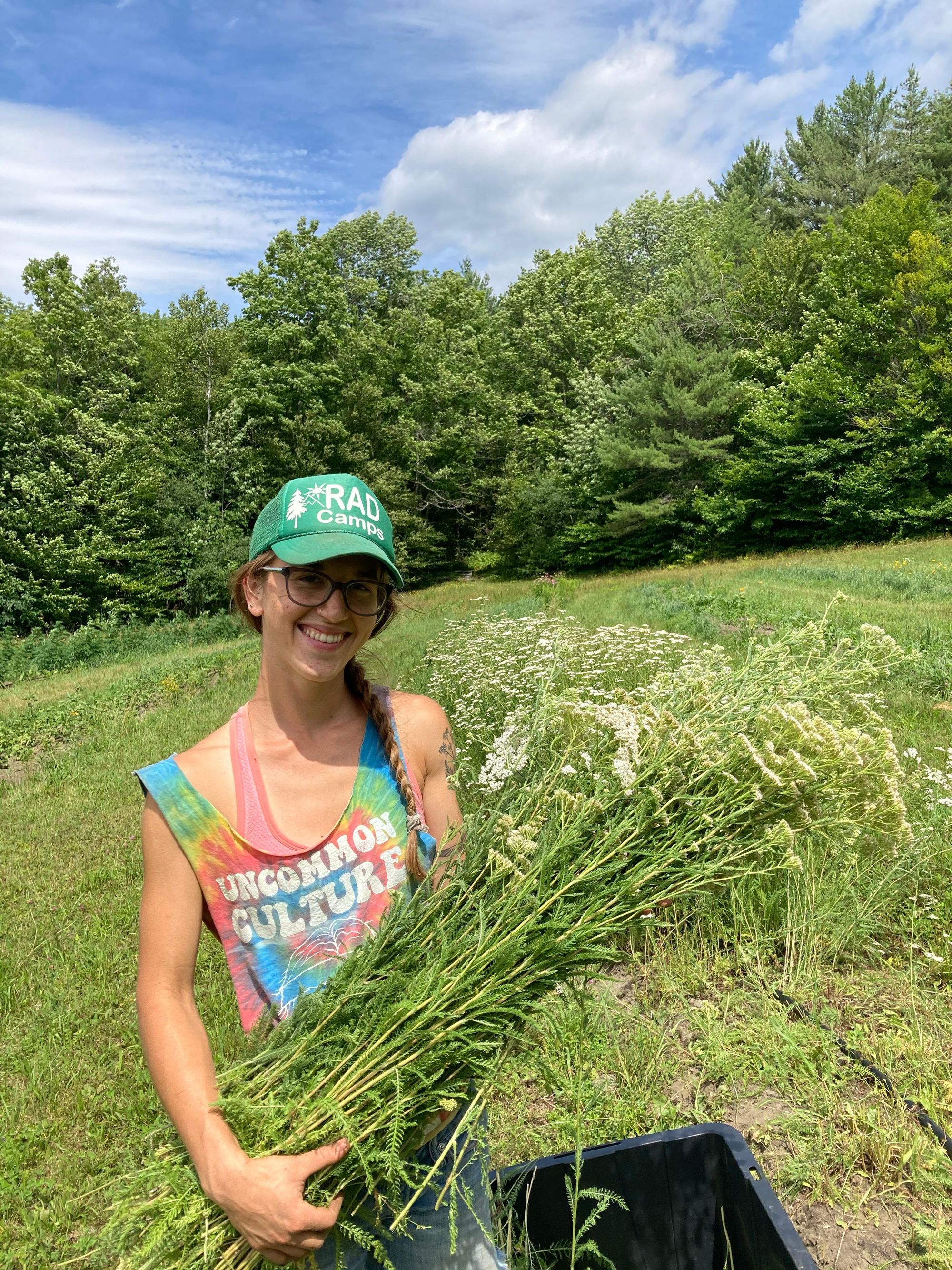 Medicine for People and Planet - Hillside Botanicals