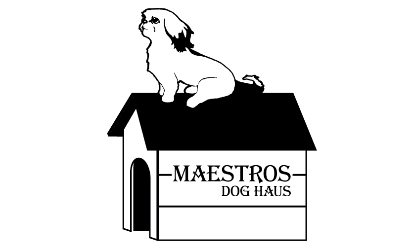 Nutrition Is the Key - Maestros Dog Haus