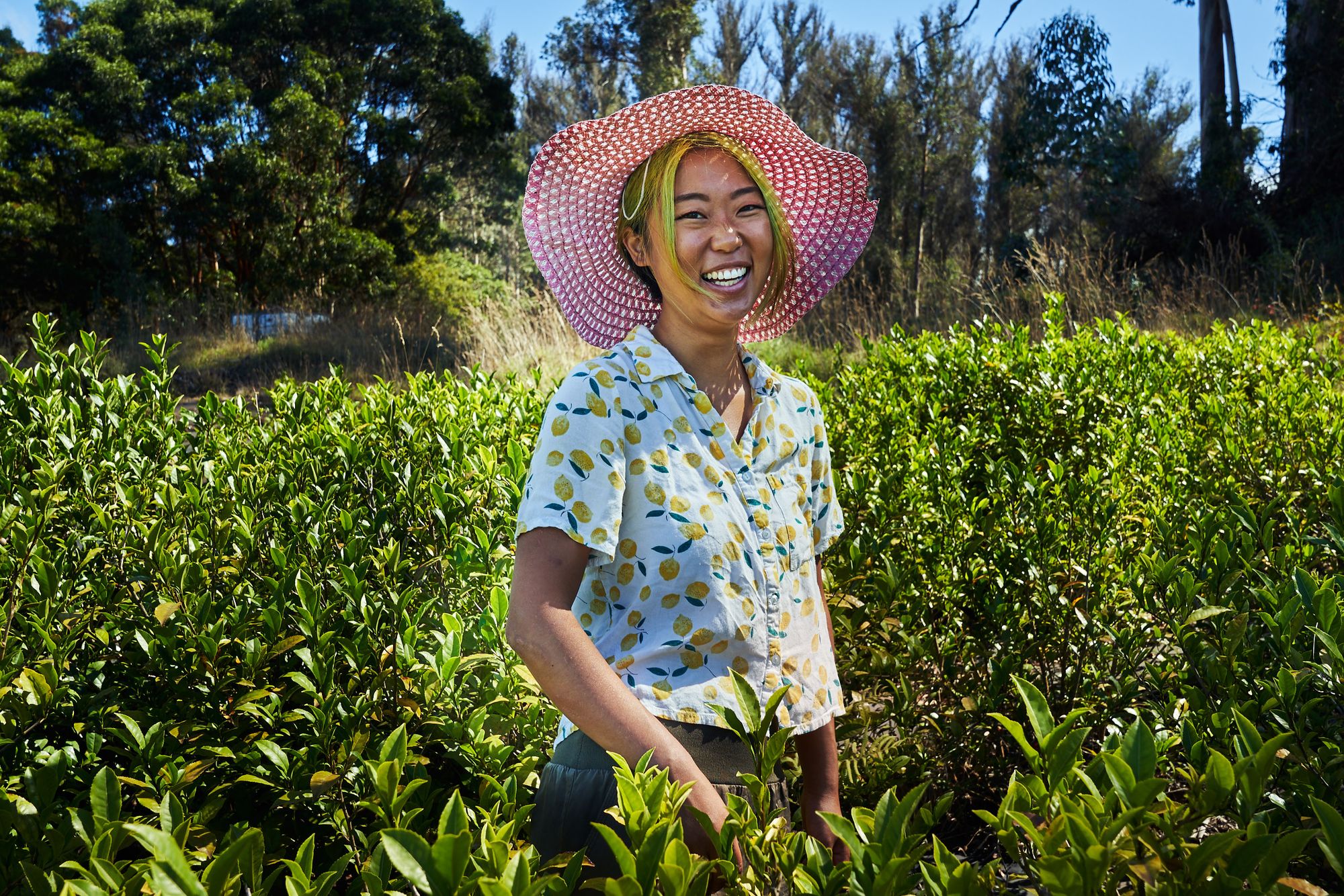 Rooted in Taste, Transparency & Equity - Uproot Teas