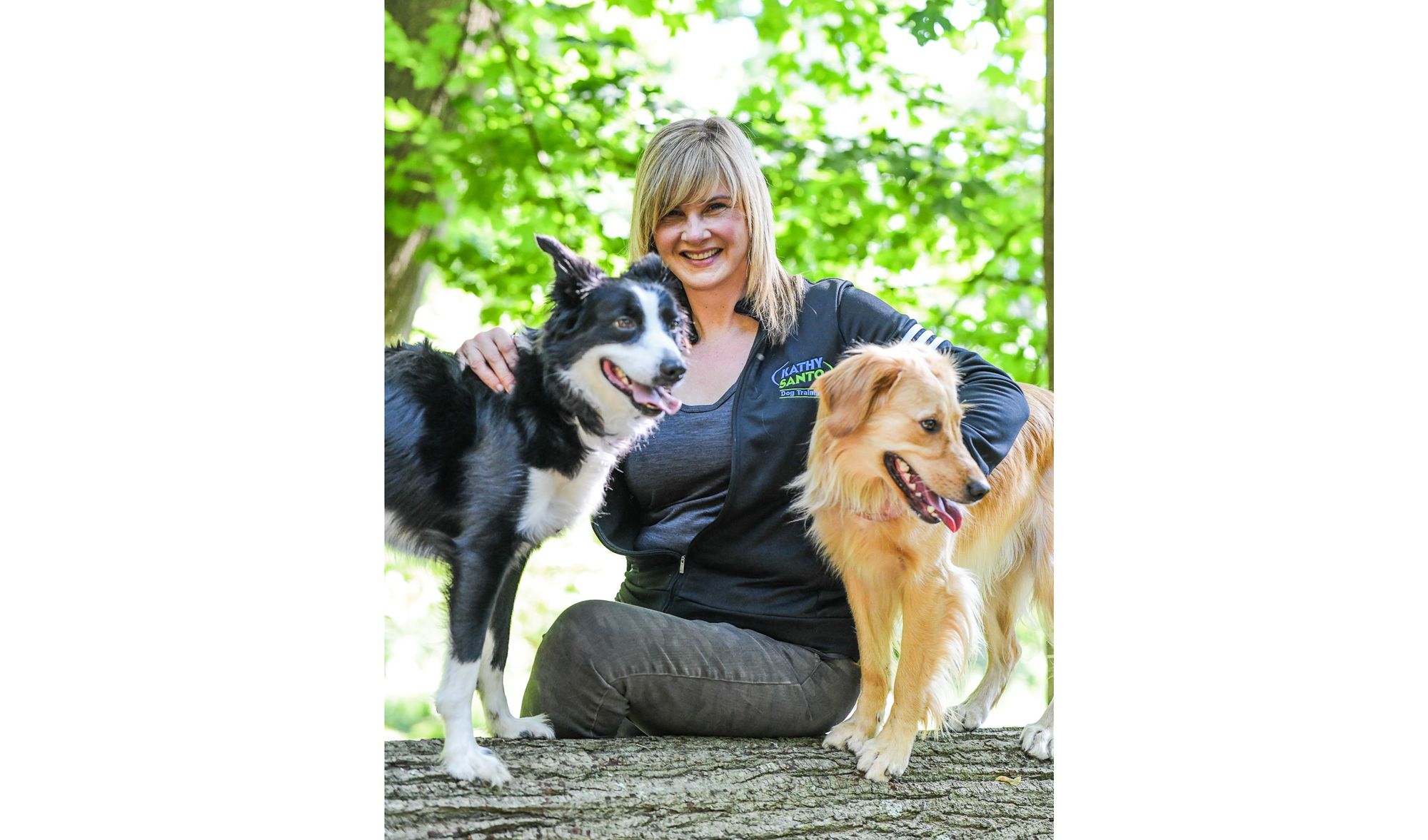 Train, Stay, Play - Kathy Santo Dog Training