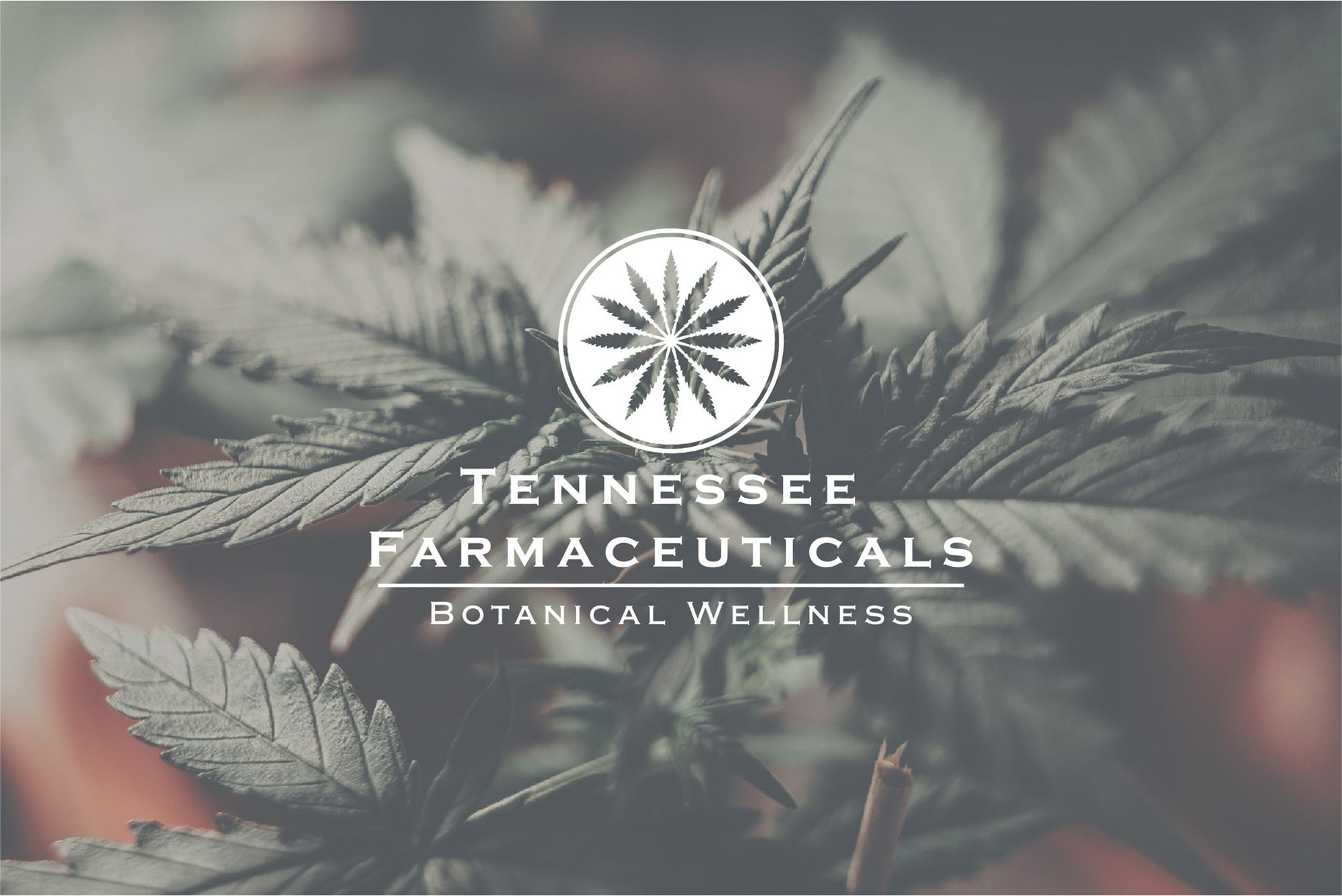 Get the Sleep You Deserve - Tennessee Farmaceuticals