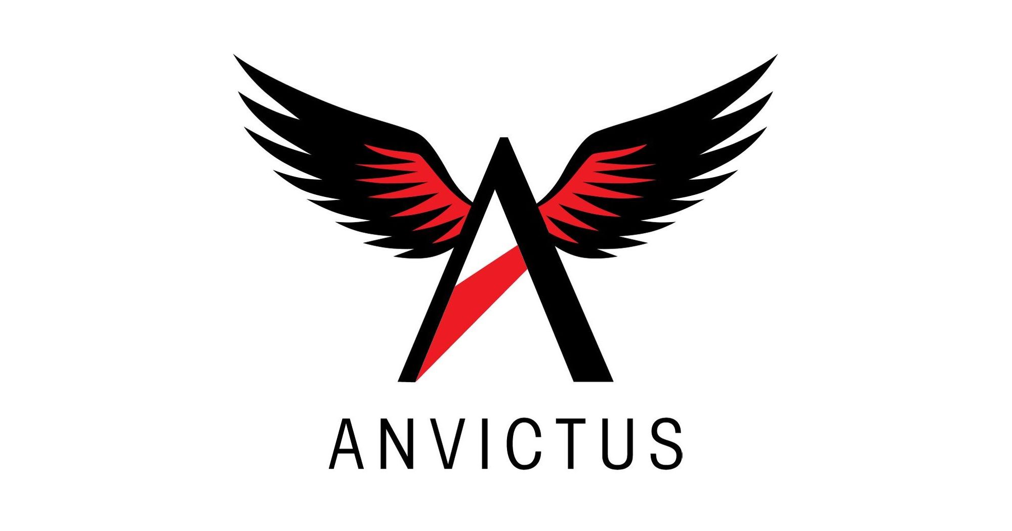 Sales and Marketing Strategies - Anvictus Communication